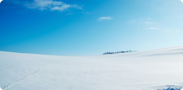 snow-field